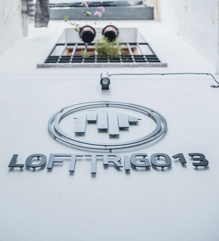 Grupo Limcotel Loft Trigo 13 Piscina 科爾多瓦 外观 照片